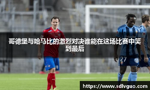 NG体育官网